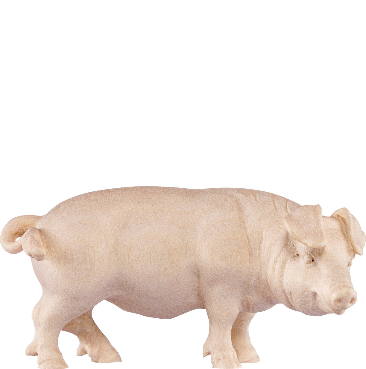 Schwein H.K.