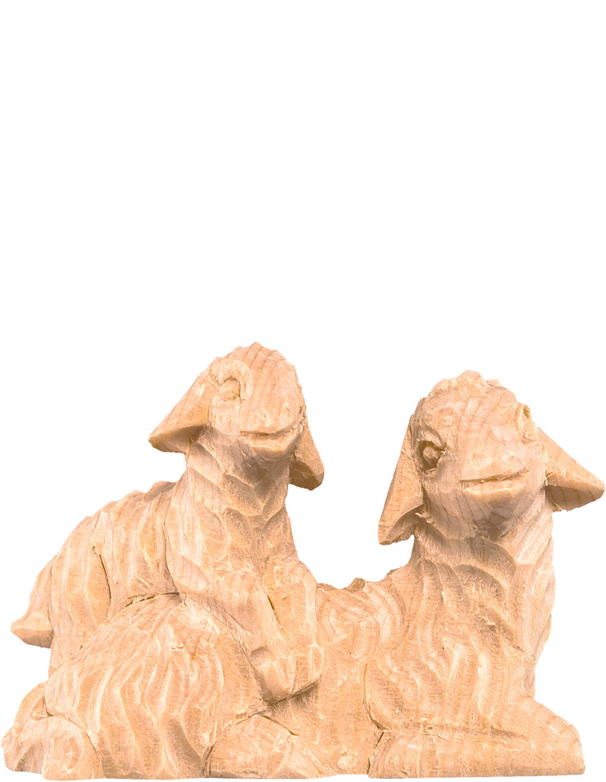 Schafgruppe liegend R.K.