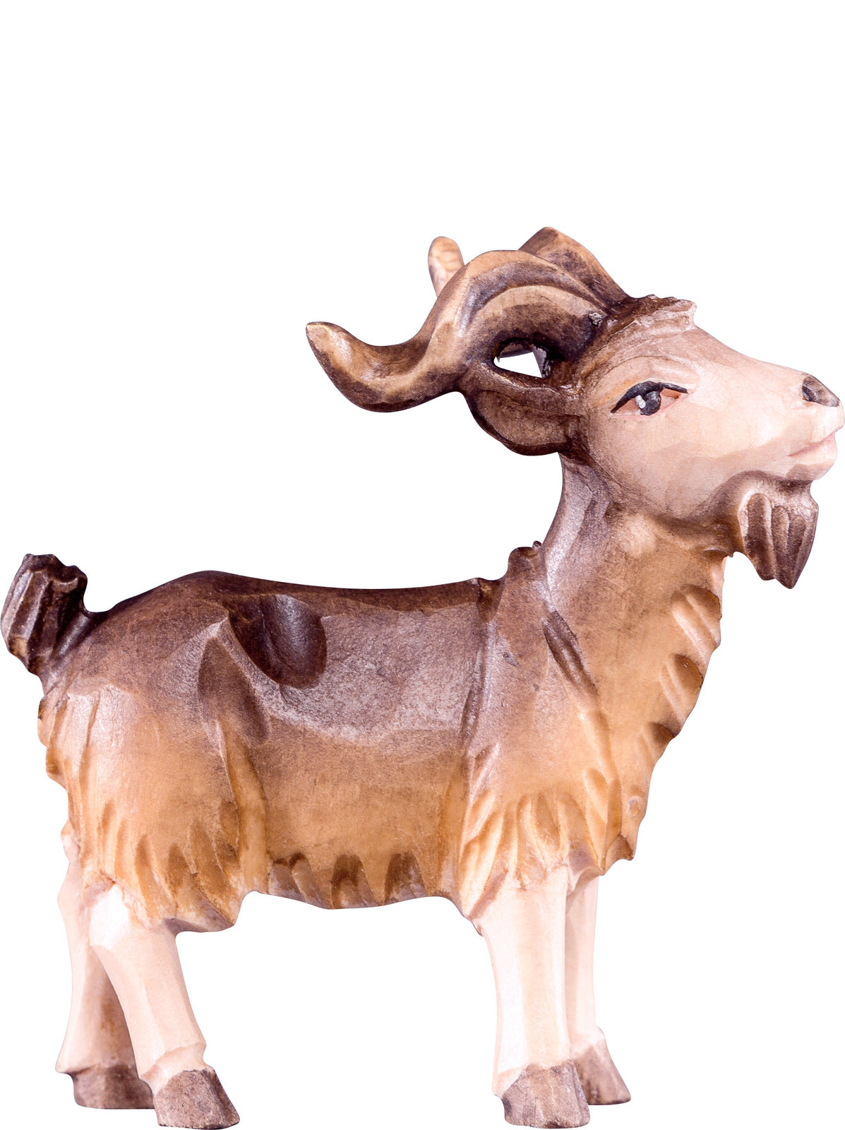 Ziegenbock R.K.