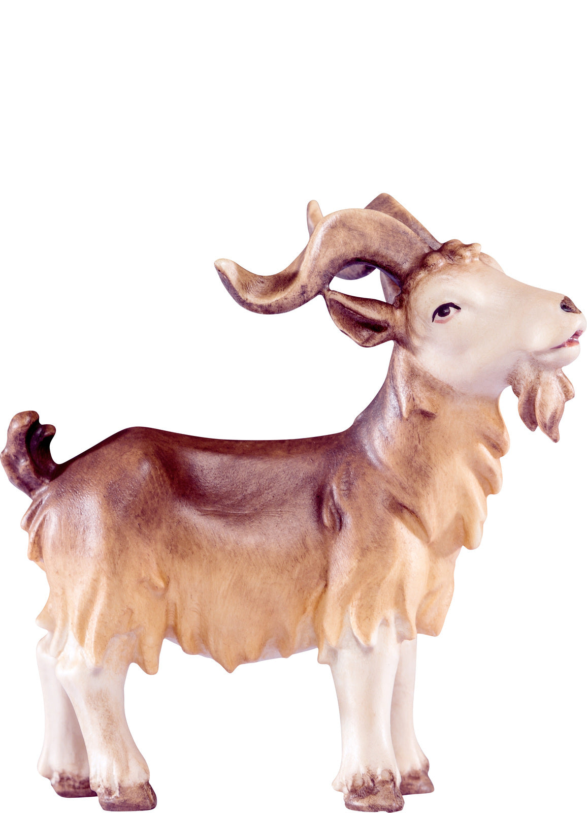 Ziegenbock Artis