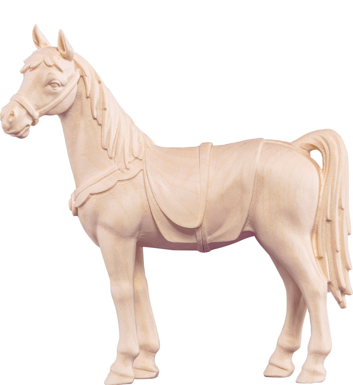 Pferd Artis
