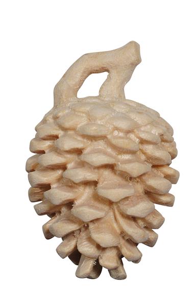 Latschenzapfen
