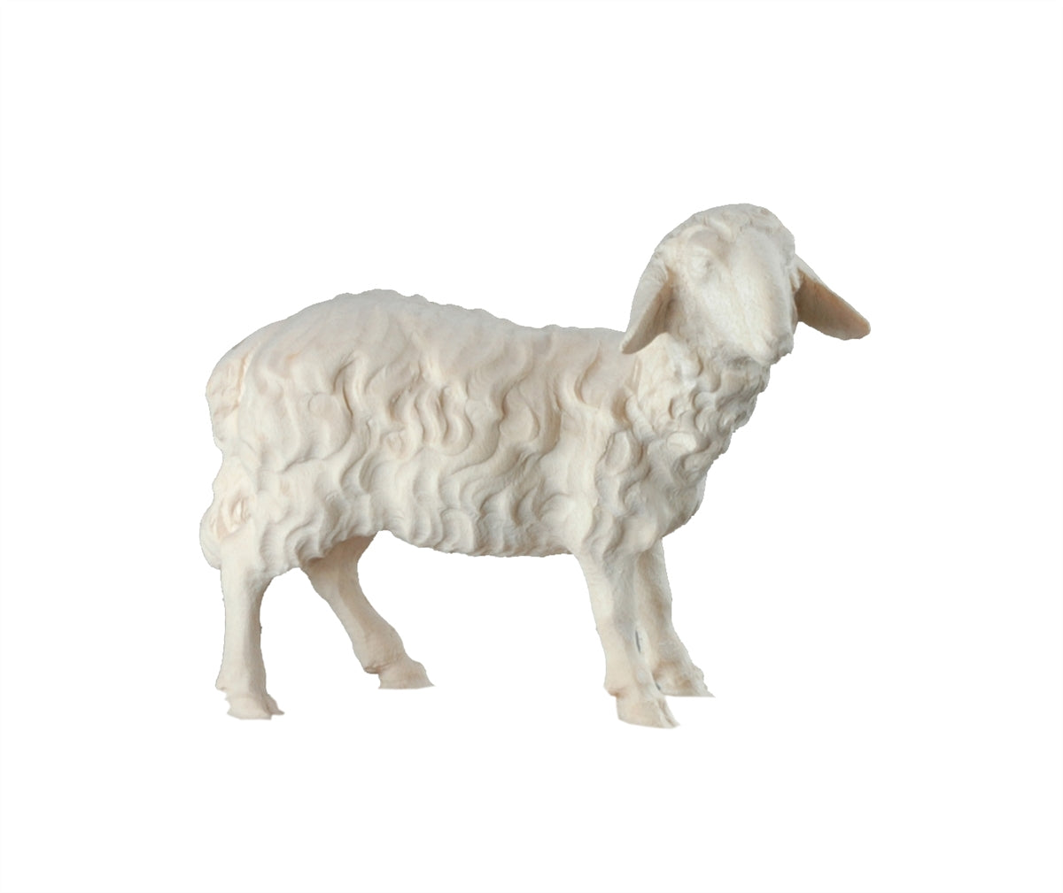 Schaf stehend