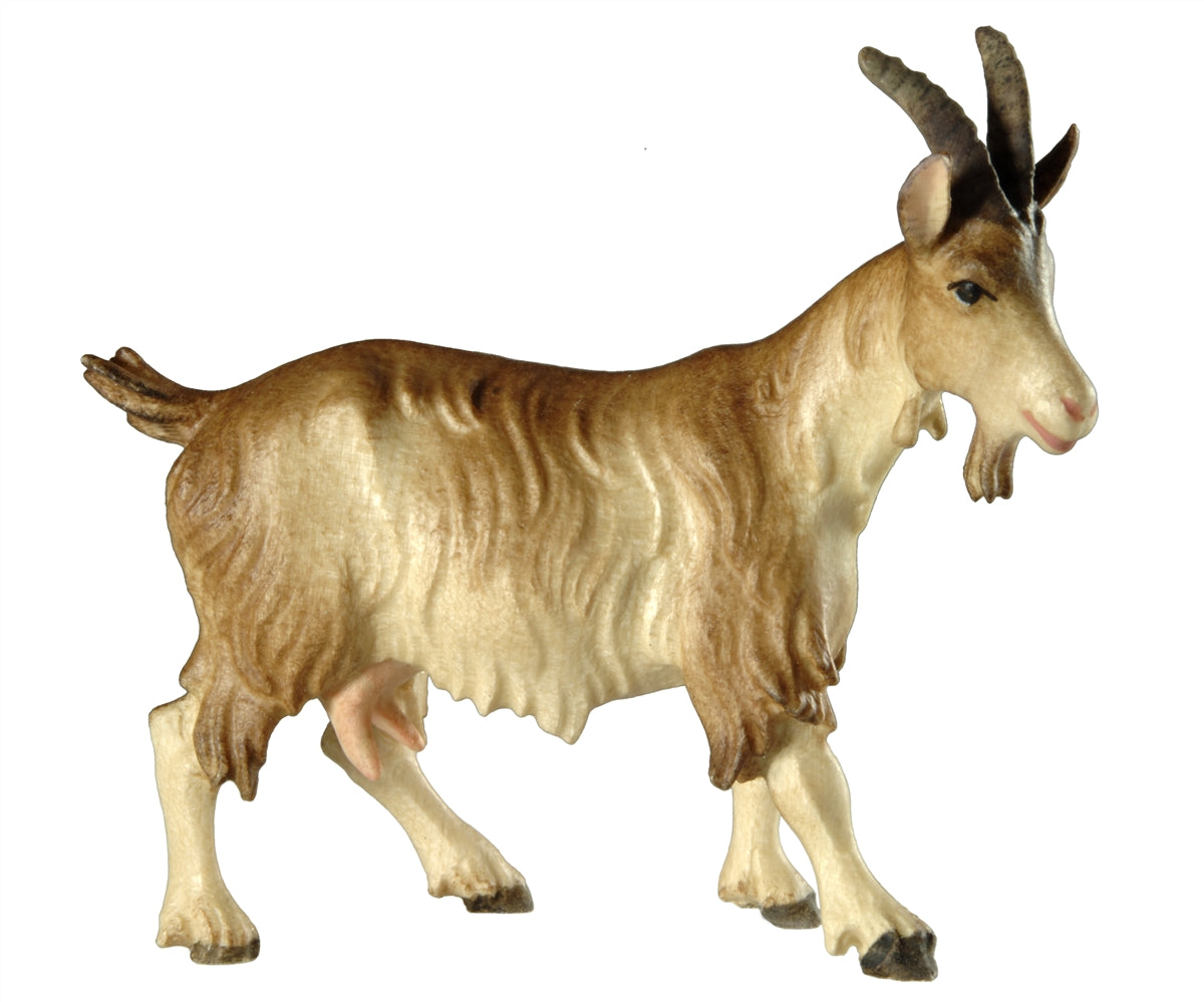 Ziege
