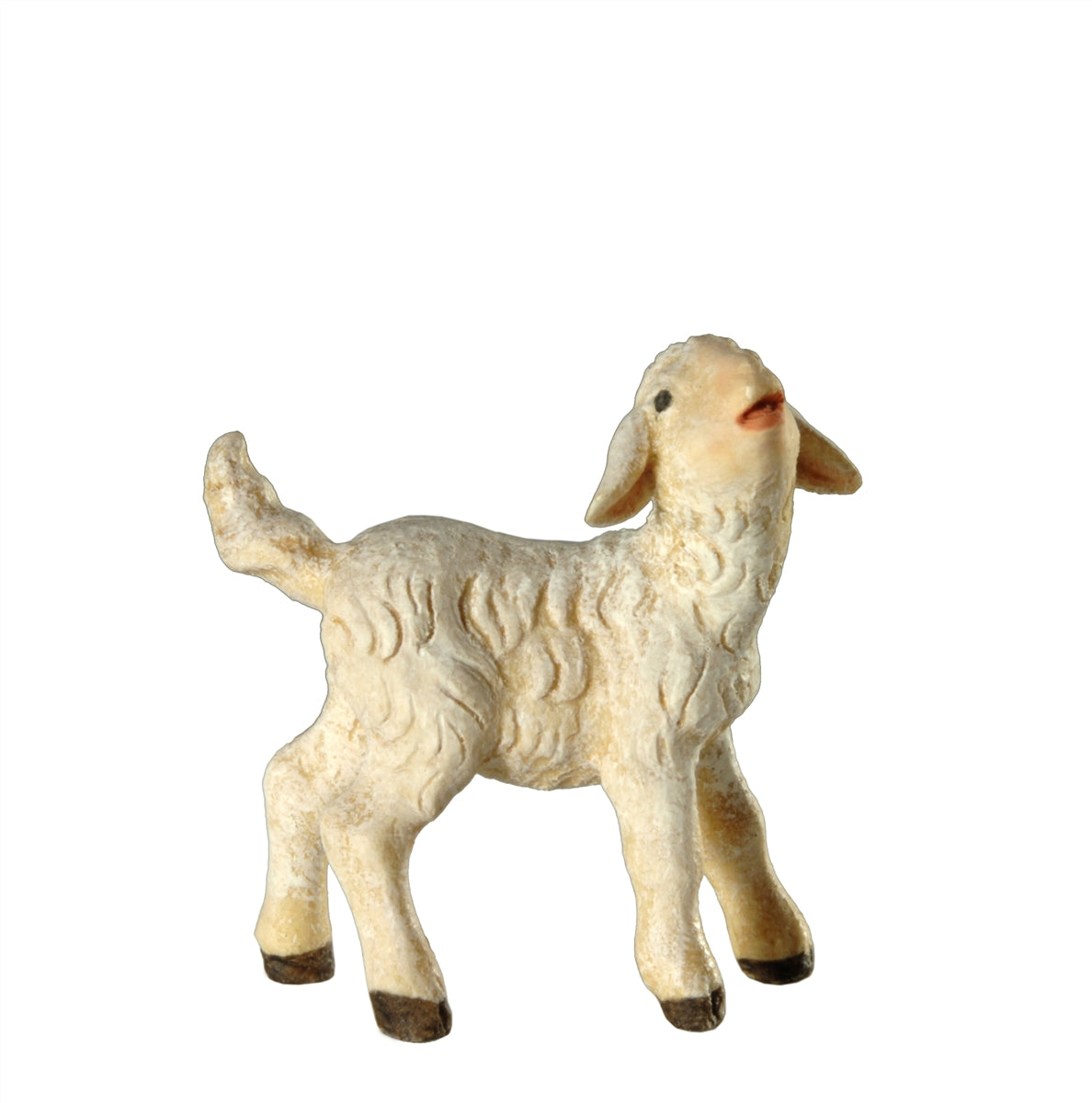 Lamm