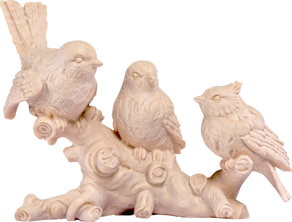 Vogelgruppe