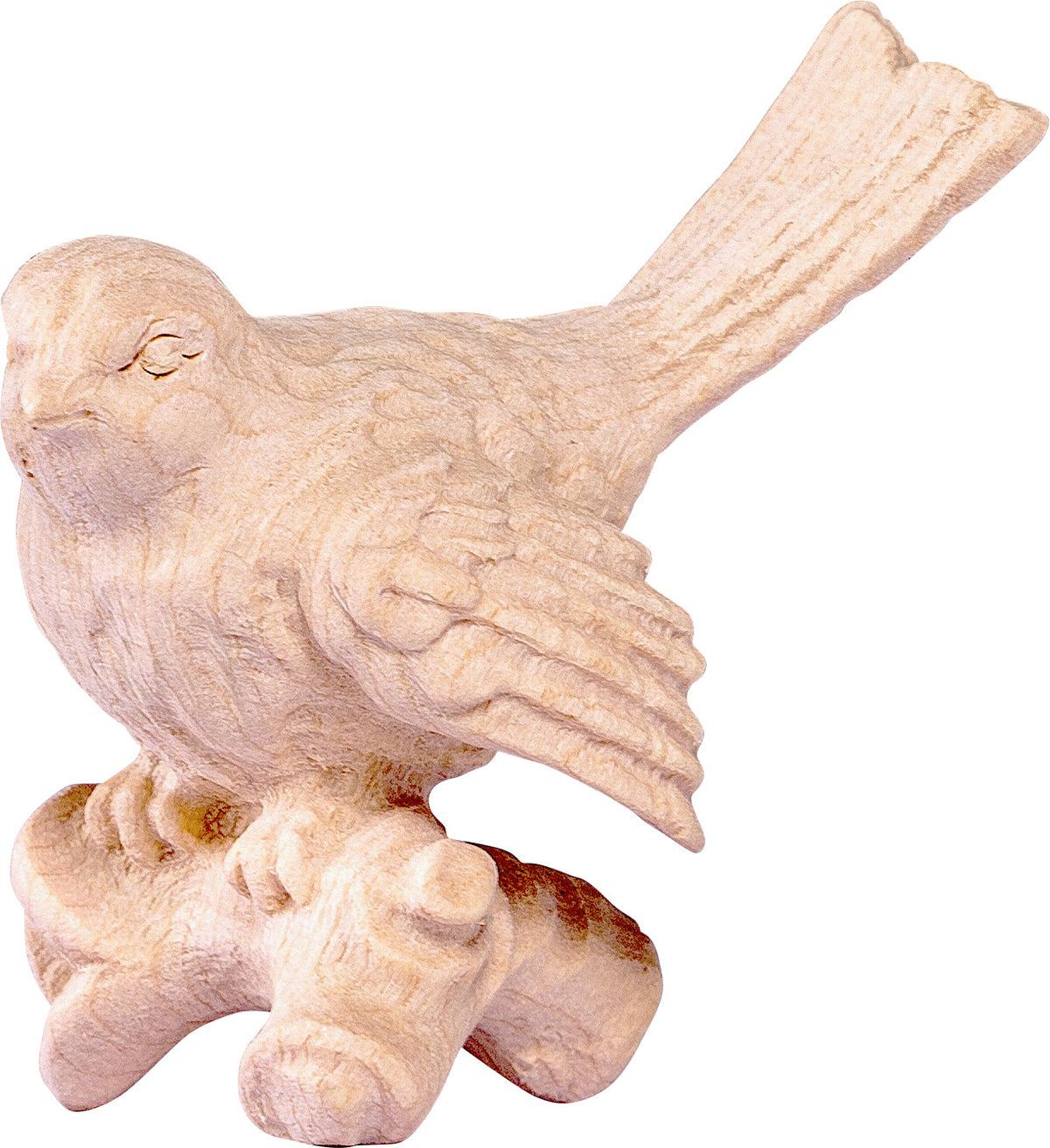 Vogel auf Ast rot