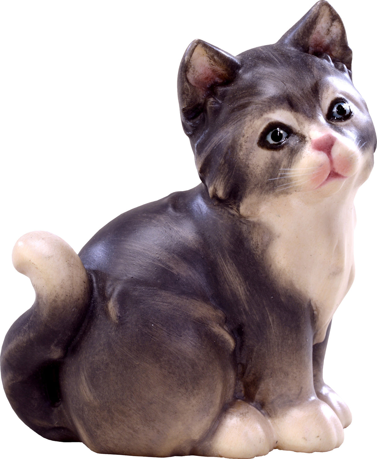 Katze grau