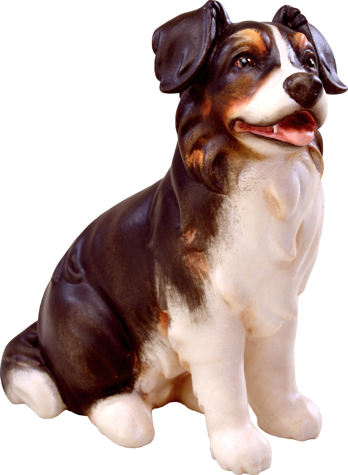 Australianischer Schäferhund