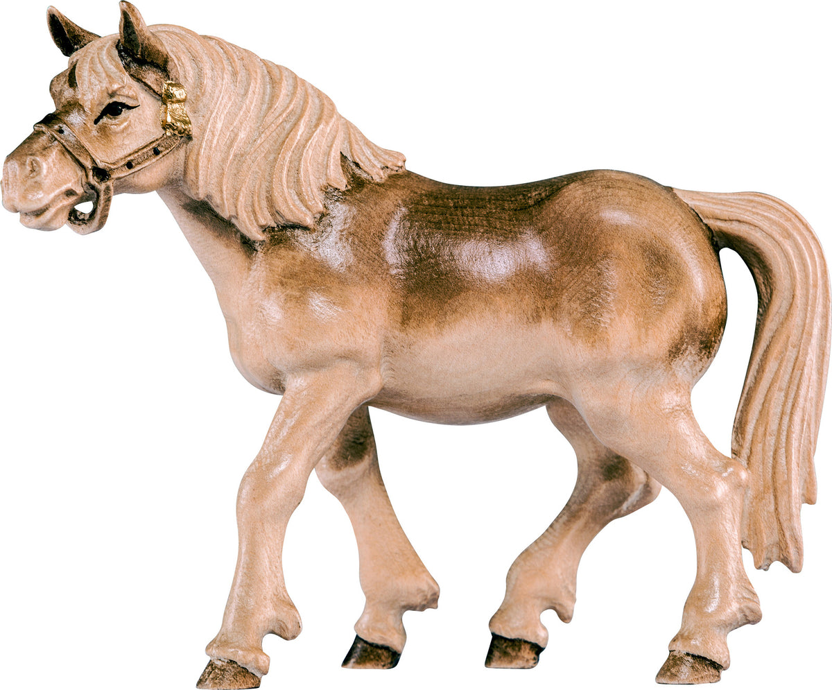 Pferd Rappe