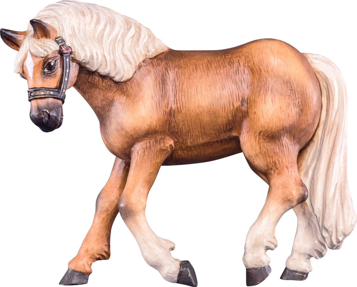 Pferd Haflinger