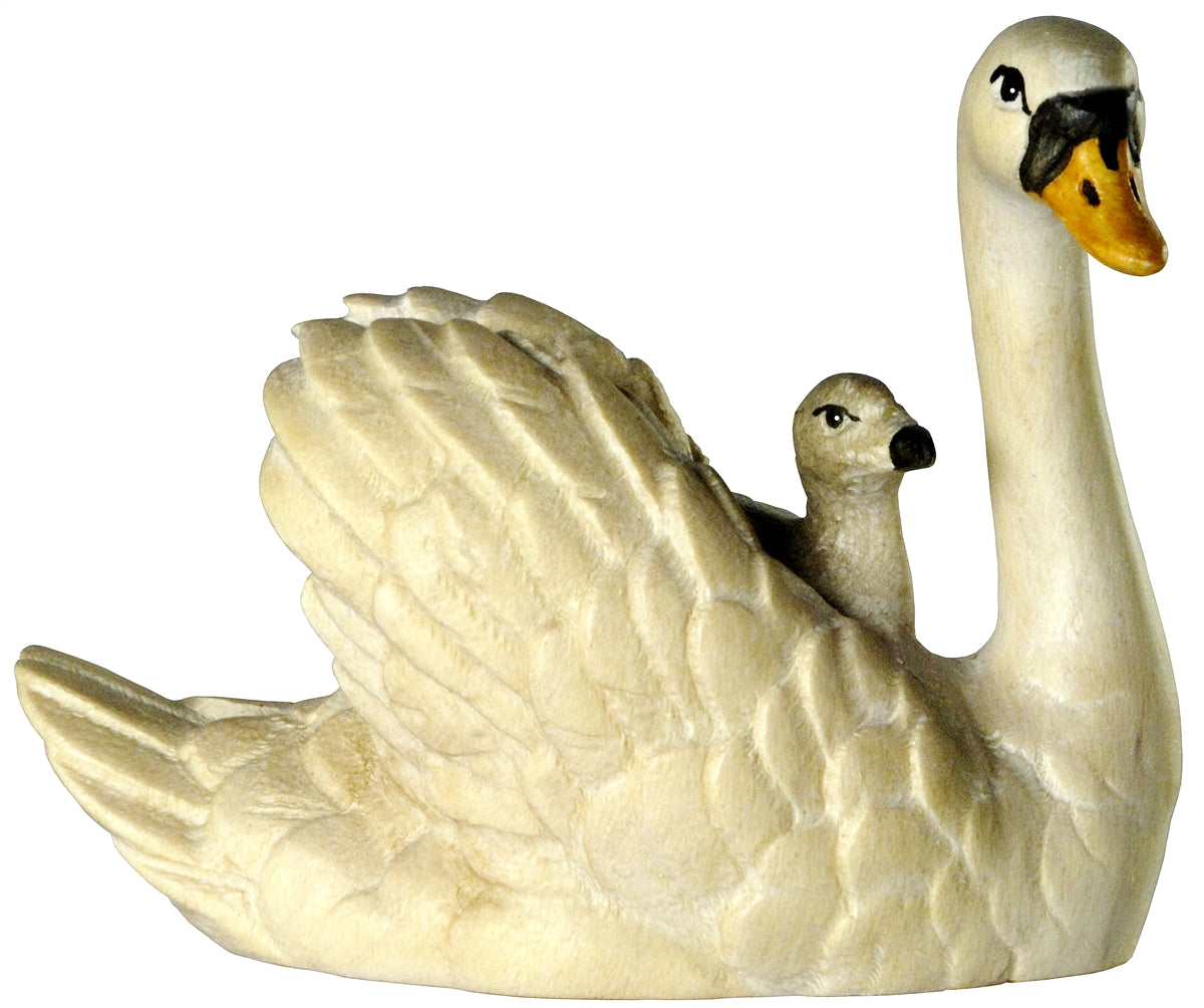 Schwan mit Junge auf Rücken