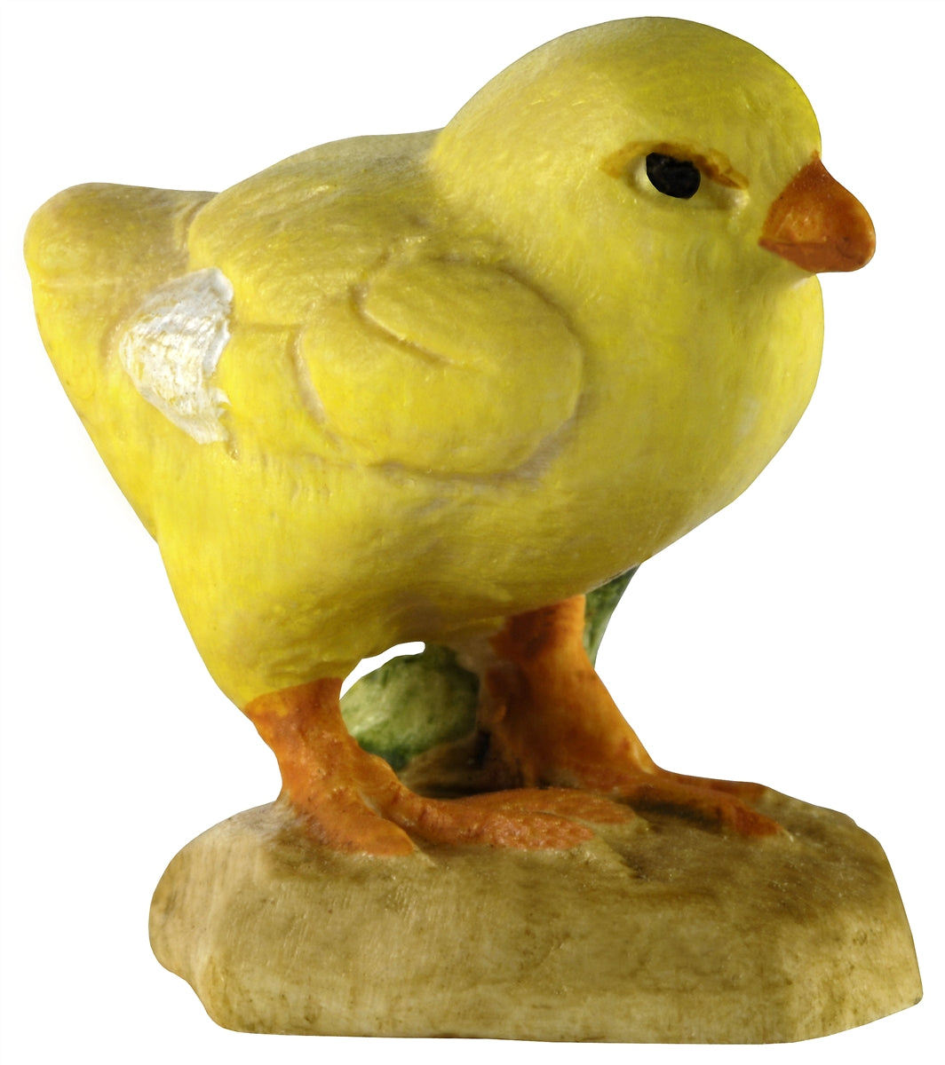 Hühnerküken