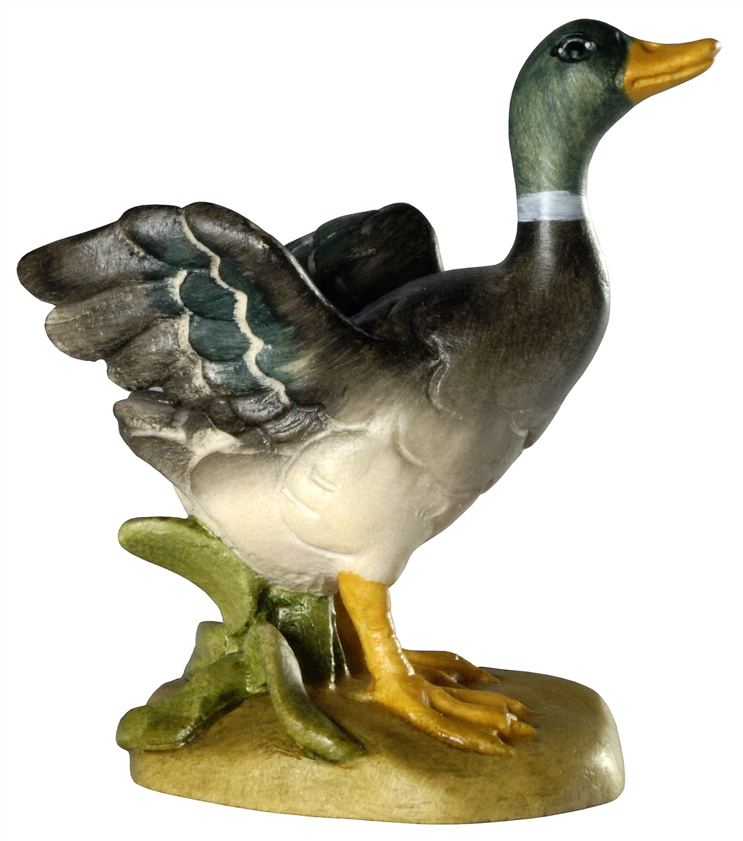 Ente mit Flügel offen