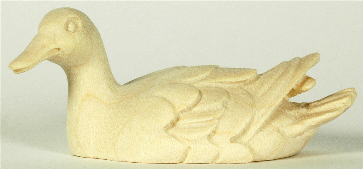 Ente schwimmend - Kopf links