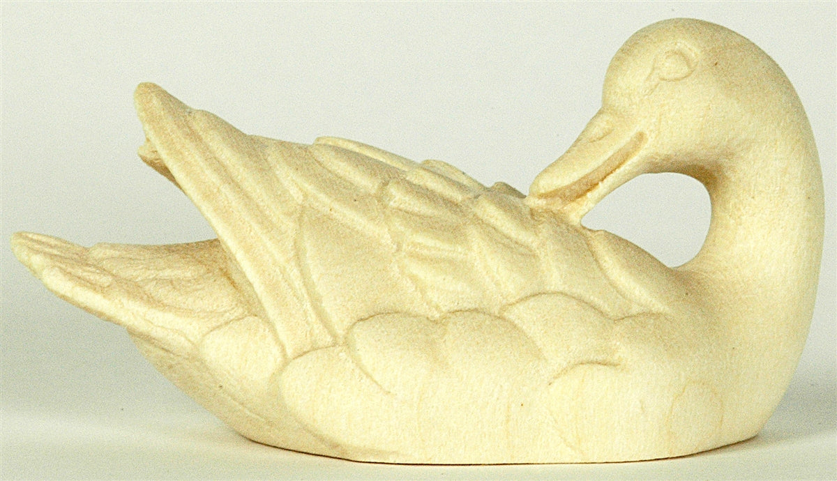Ente schwimmend - Kopf hinten