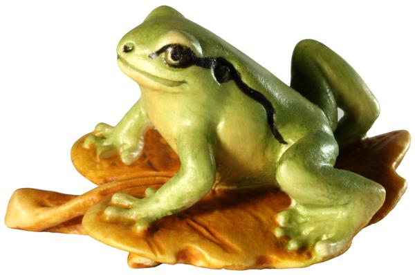 Laubfrosch auf Blatt