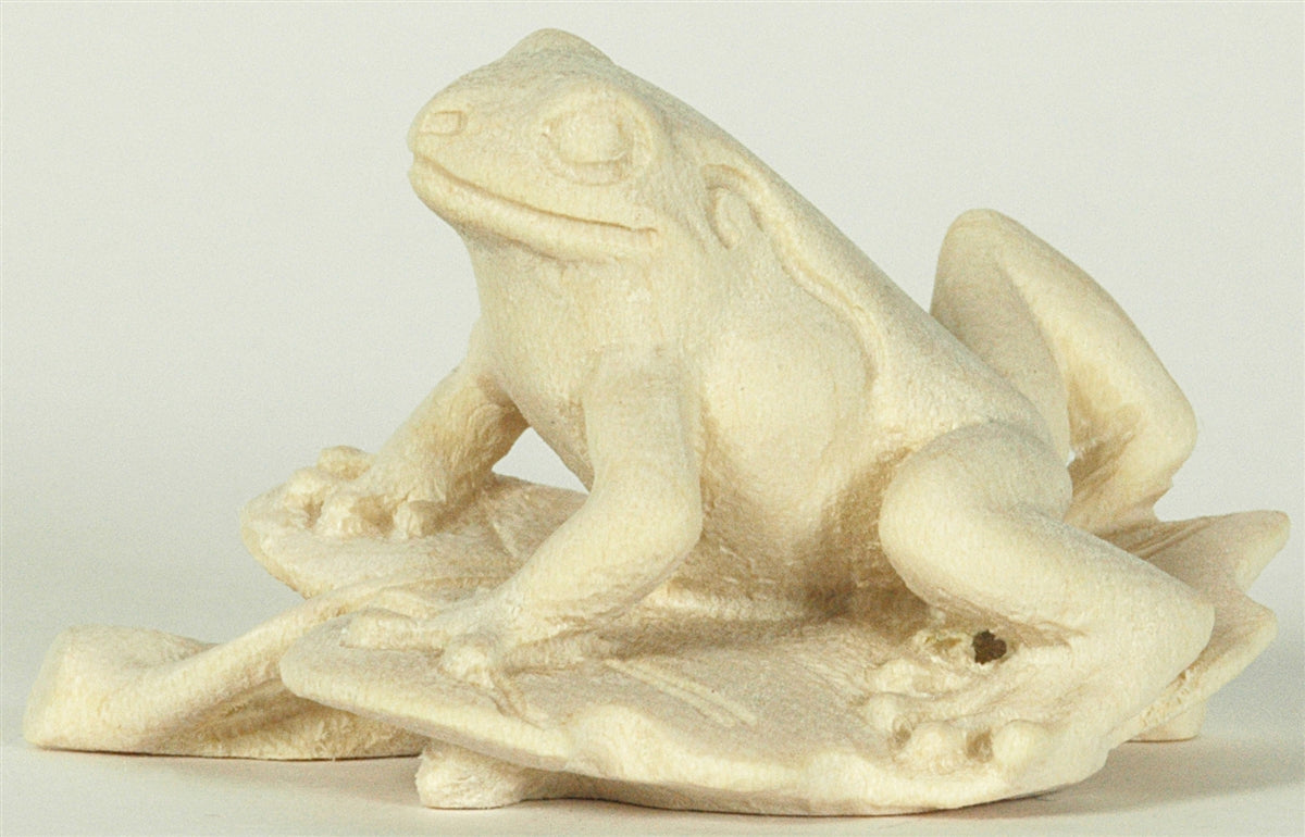 Laubfrosch auf Blatt