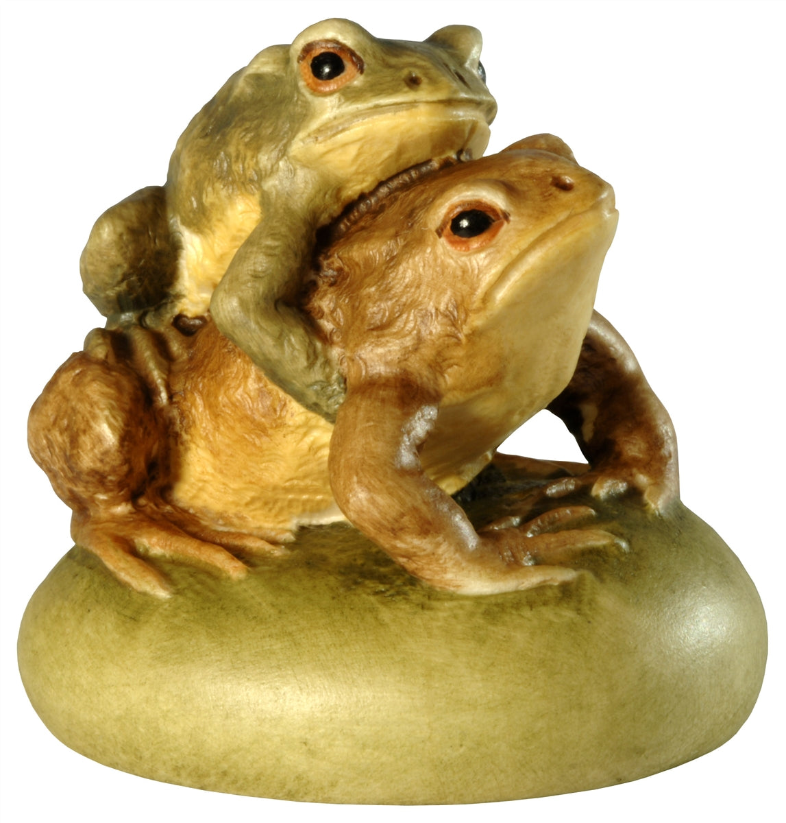 Krötenpaar