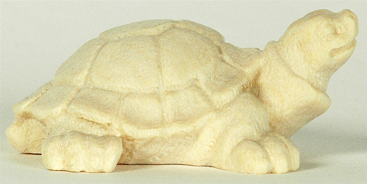 Schildkröte