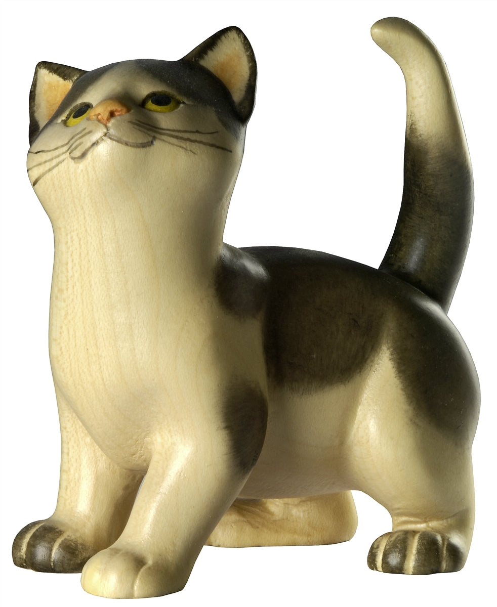 Katze stehend