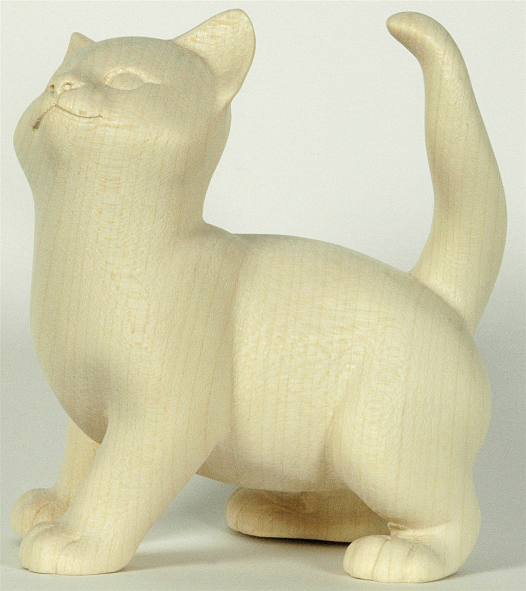 Katze stehend