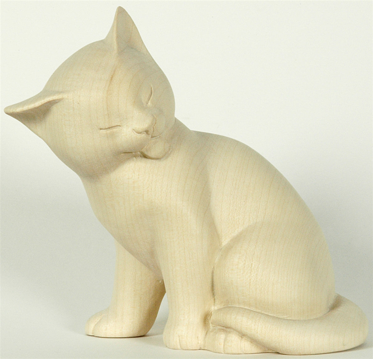 Katze sitzend