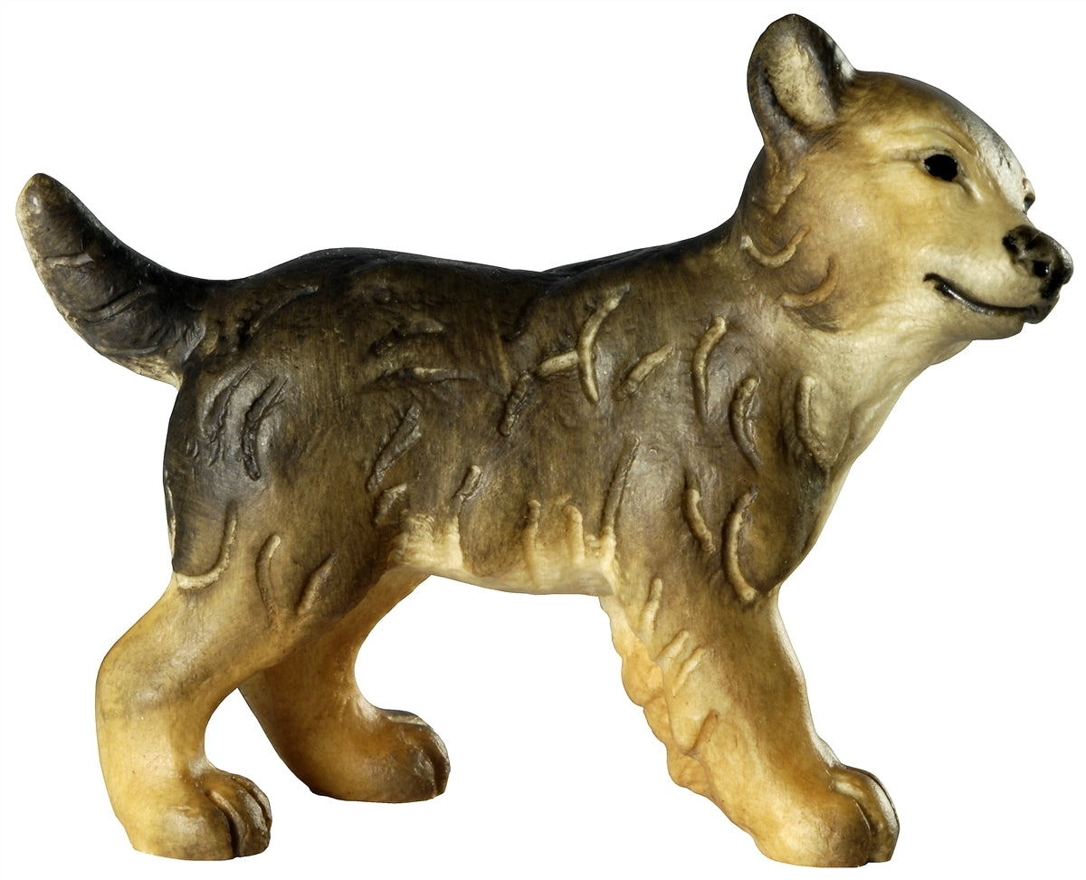 Wolfswelpe - Kopf nach rechts