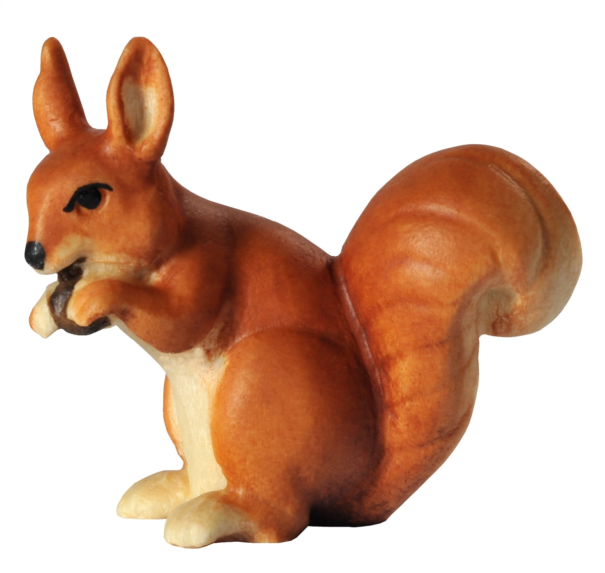 Eichhörnchen auf Hinterpfoten