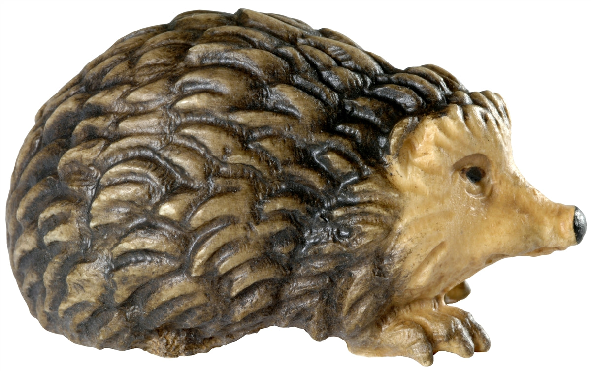 Igel