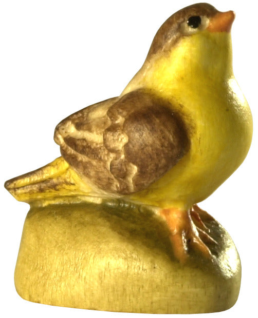 Kleinvogel Kopf oben