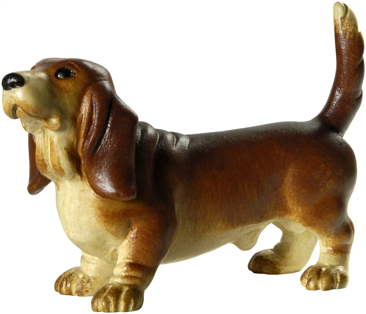 Basset Hund