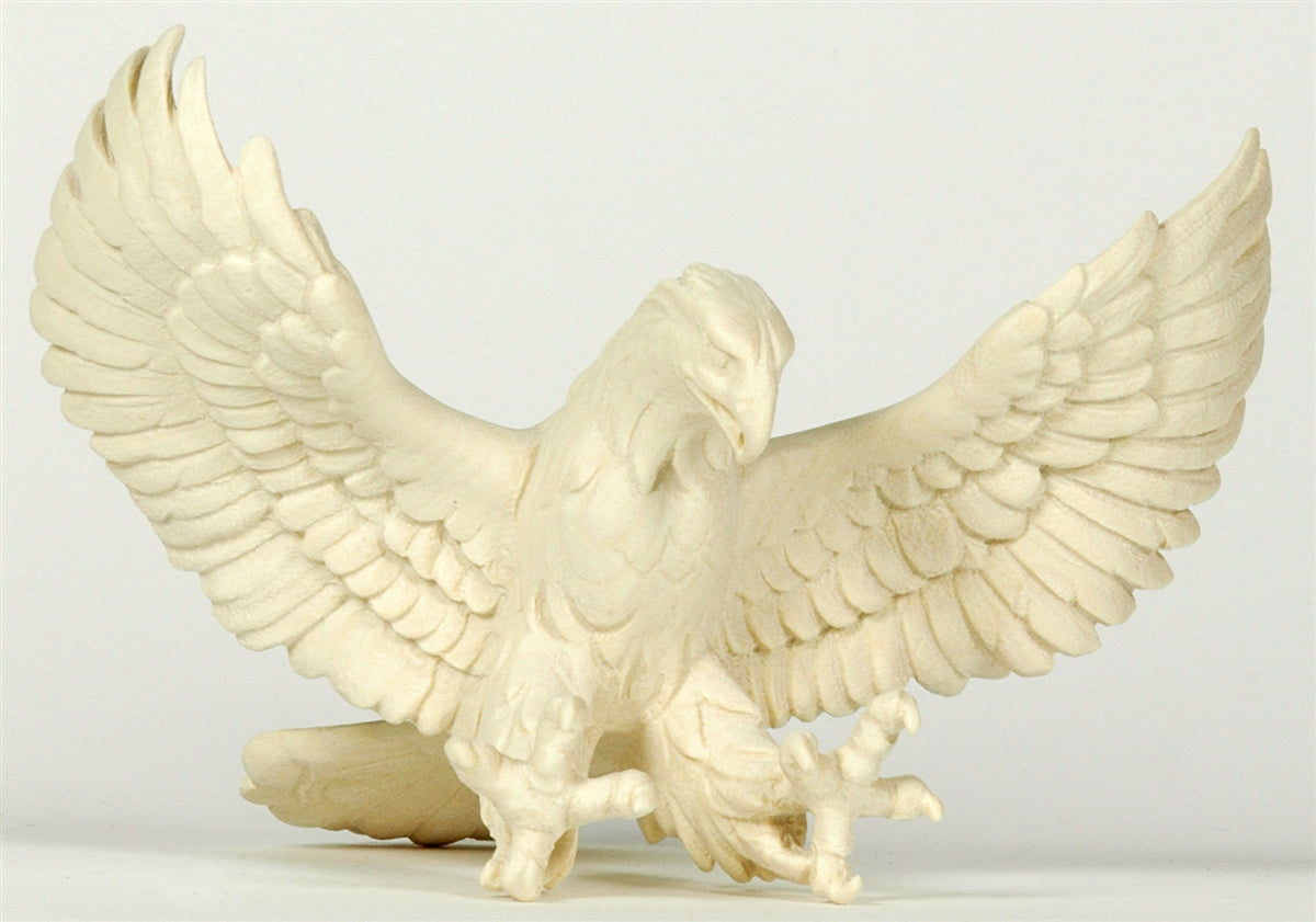 Adler fliegend