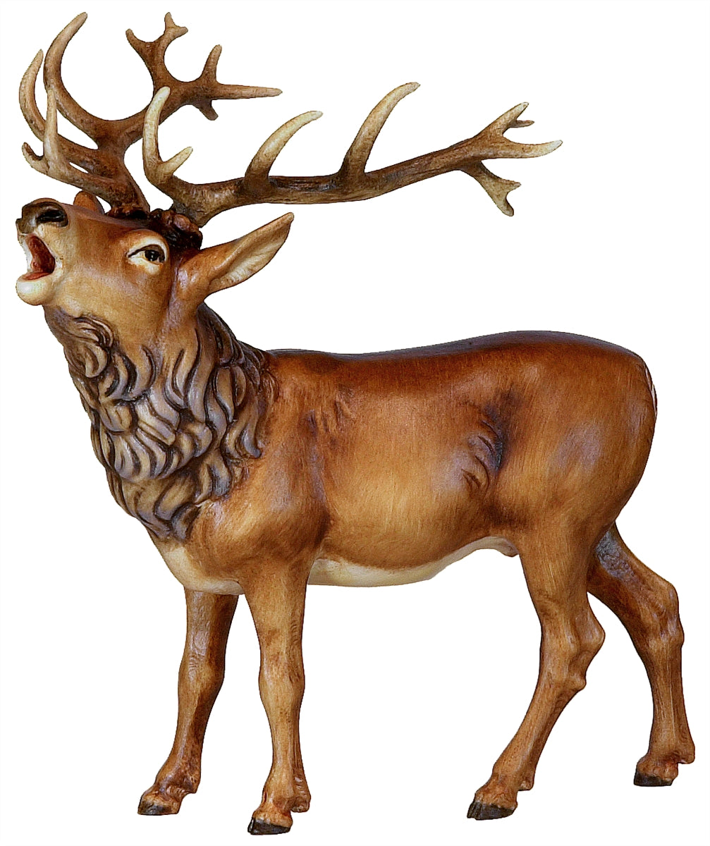 Hirsch