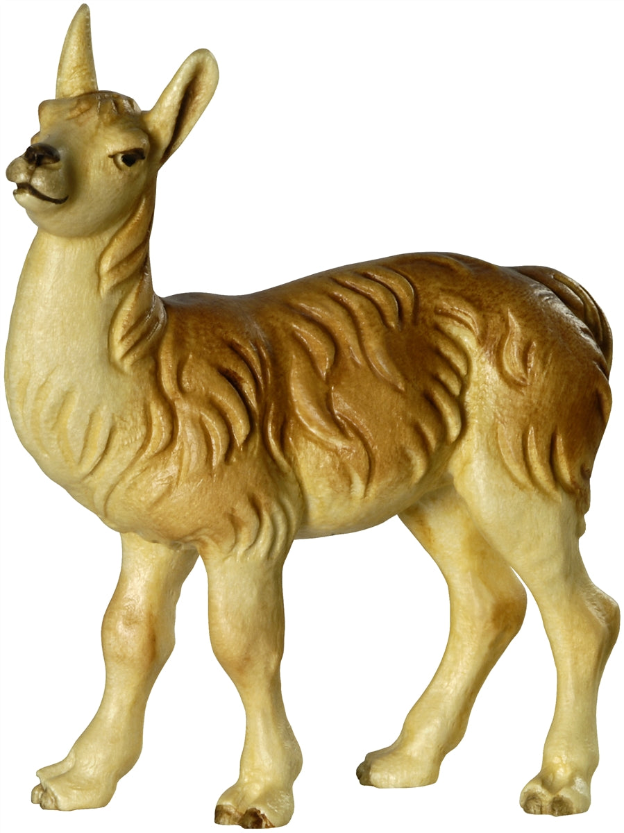 Lamafohlen