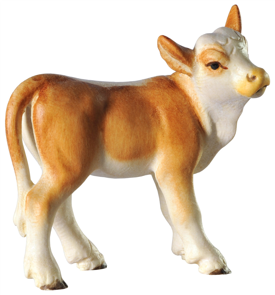 Kalb stehend