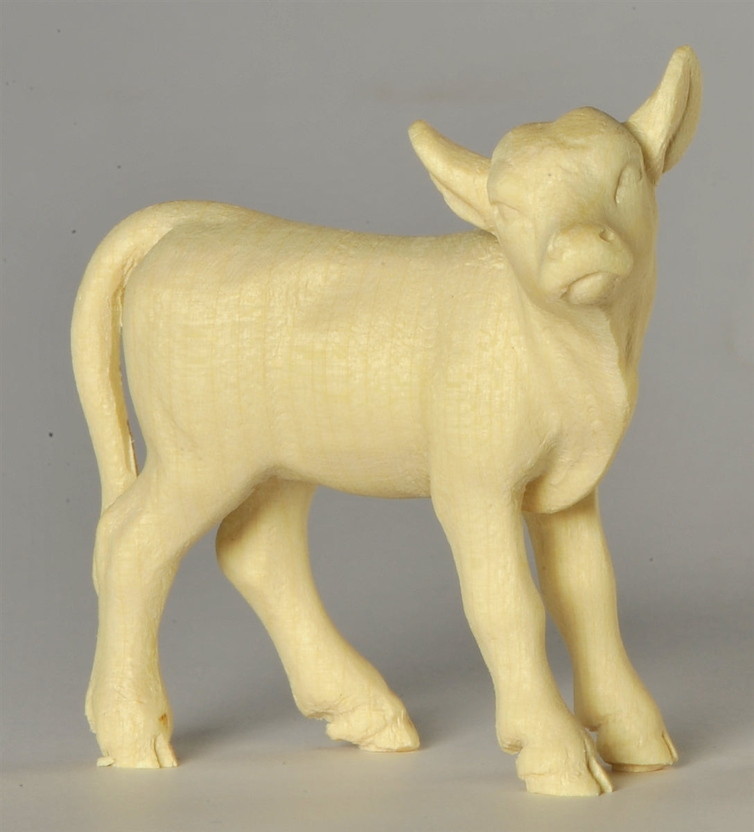 Kalb stehend