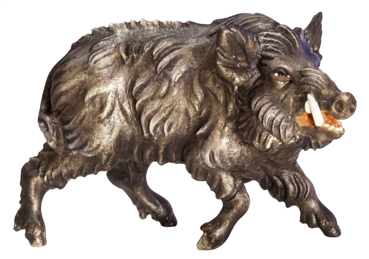 Wildschwein - Keiler
