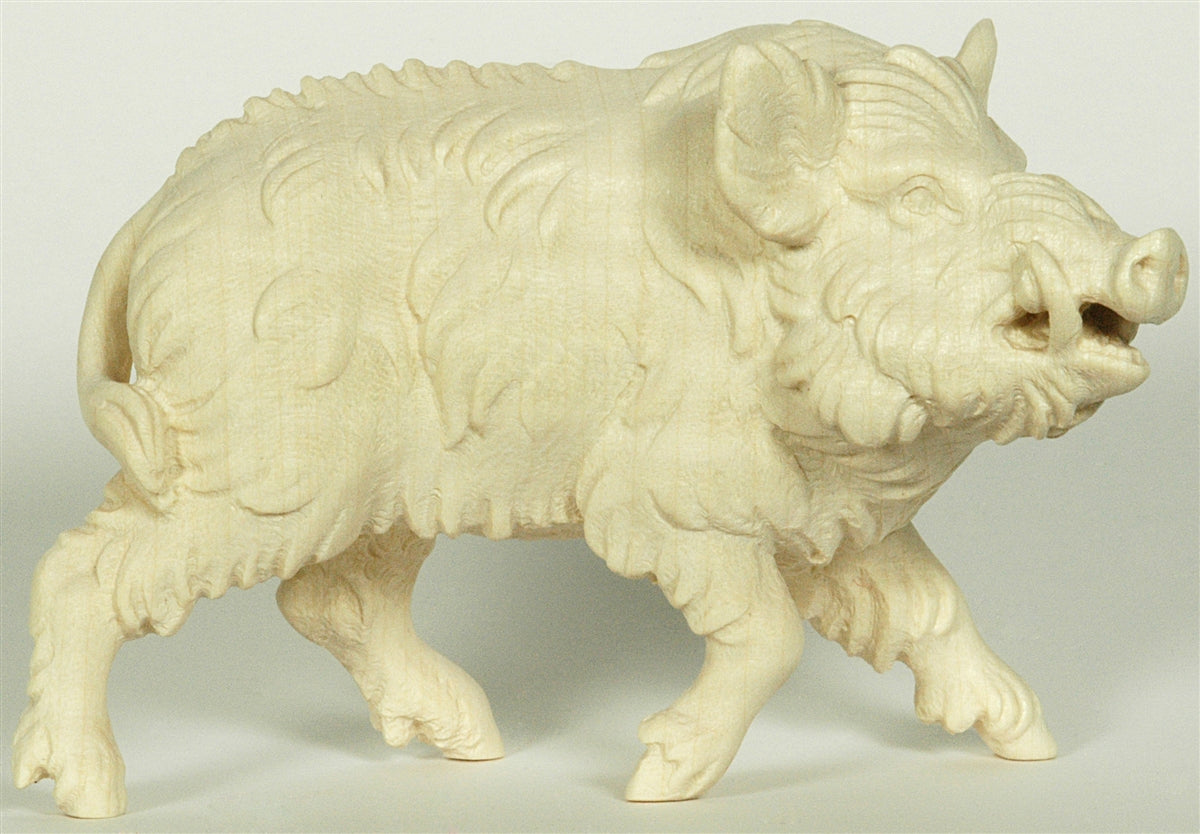 Wildschwein - Keiler