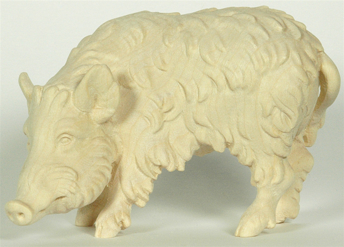 Wildschwein Bache