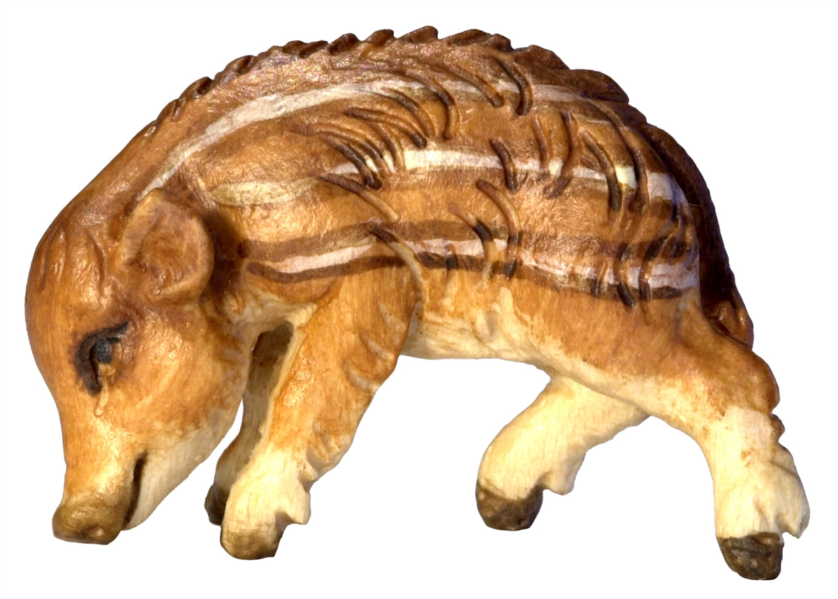 Wildschweinjunge Kopf unten
