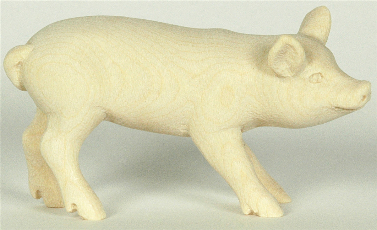 Ferkel (Kopf rechts)