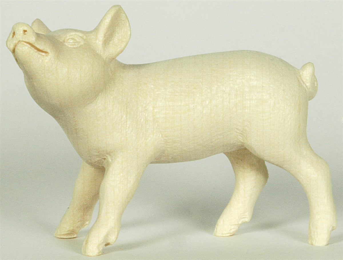 Ferkel (Kopf oben)