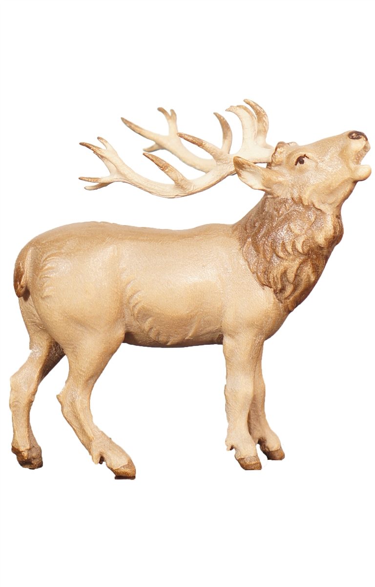 Hirsch