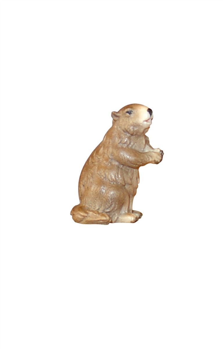 Murmeltier