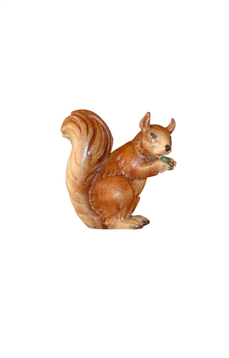 Eichhörnchen