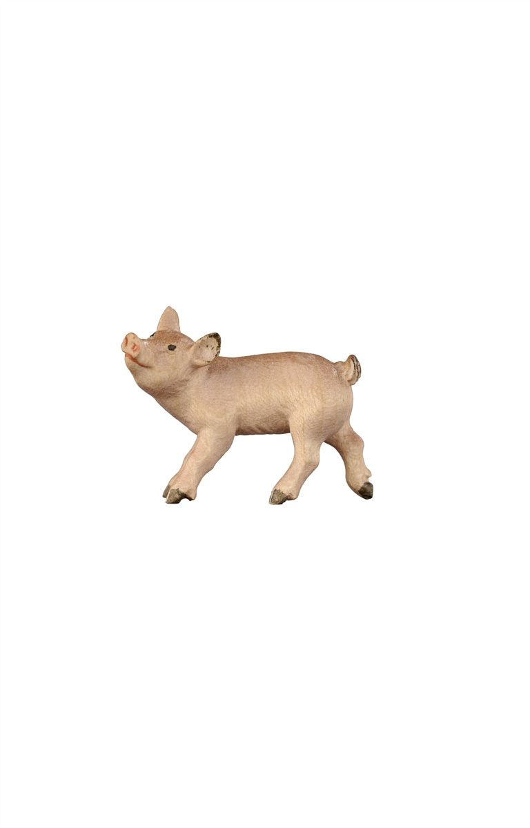 HE Ferkel stehend