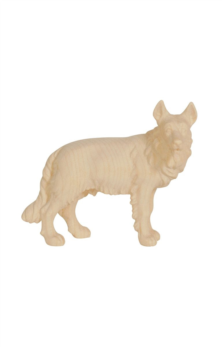 ZI Schäferhund