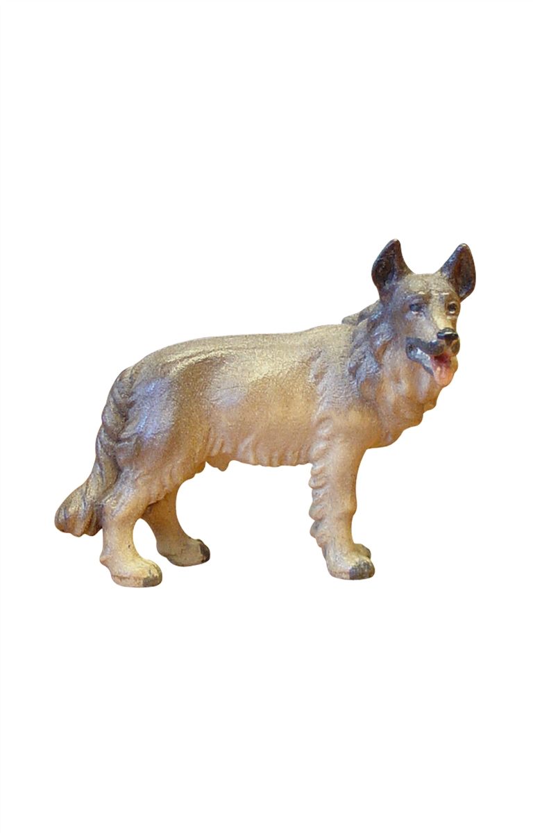 ZI Schäferhund