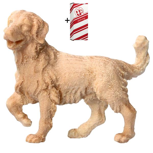 BE Hirtenhund + Geschenkbox